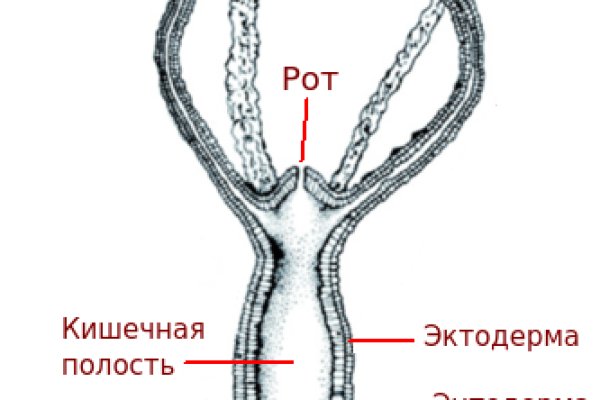 Kraken 15 at сайт