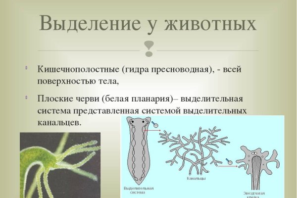 Кракен правила площадки