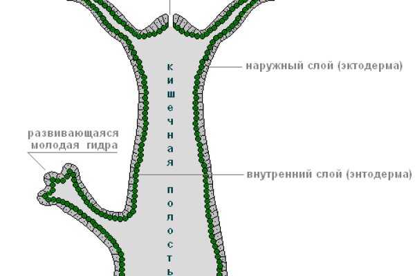 Кракен ссылка в тор