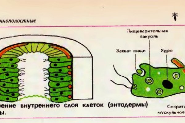 Аналоги BlackSprut