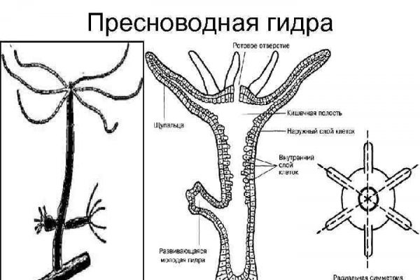 Kraken актуальное