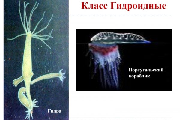 Кракен официальное зеркало